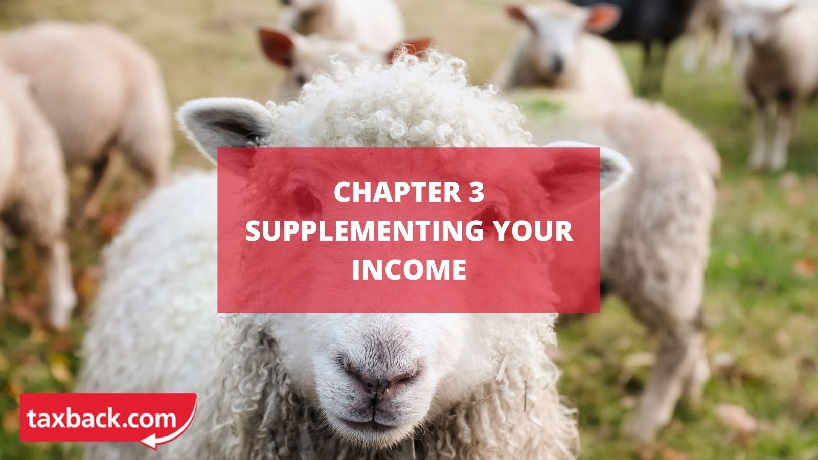 Chapter 3 - Supplementing your income