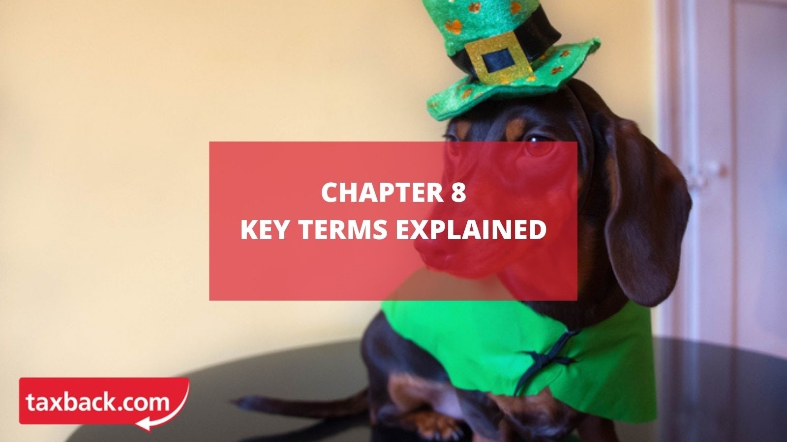 Chapter 8 - Key Terms Explained